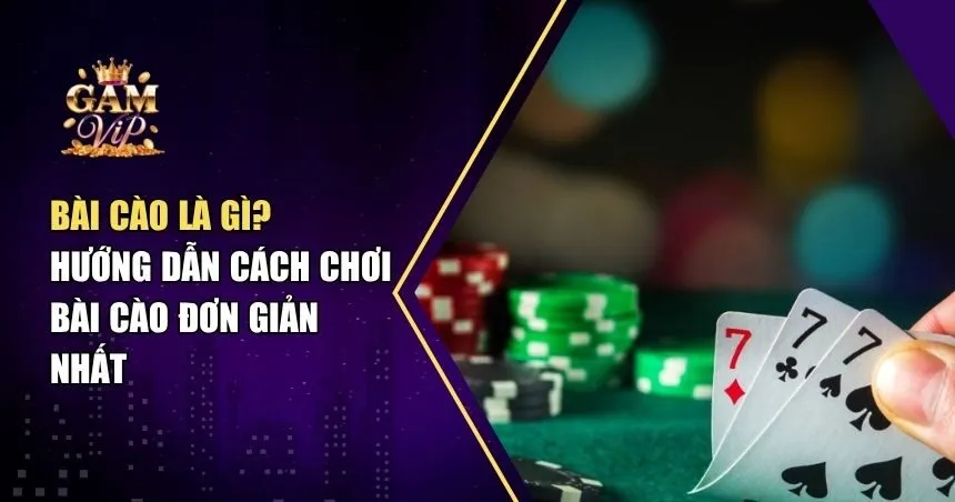 Bài Cào Là Gì? Hướng Dẫn Cách Chơi Bài Cào Đơn Giản Nhất