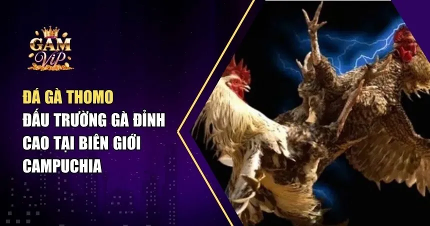 Đá Gà Thomo - Khám Phá Trò Chơi Đá Gà Được Yêu Thích Nhất