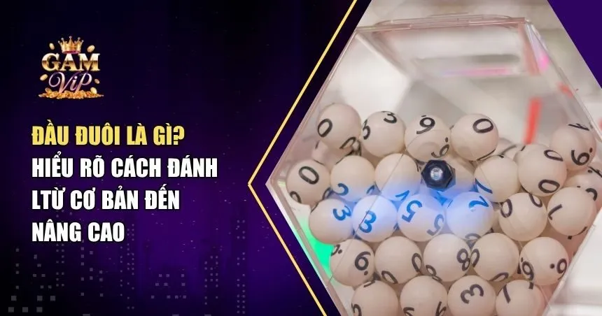 Đầu Đuôi Là Gì? Tìm Hiểu Cách Đánh Lô Đề Cơ Bản Cho Tân Thủ